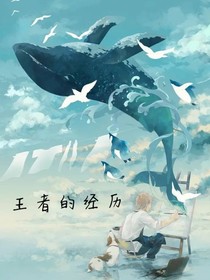 王者的经历