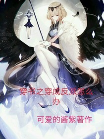穿书之穿成反派怎么办