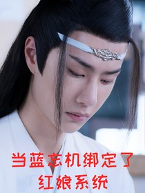 陈情令：当蓝忘机绑定红娘系统