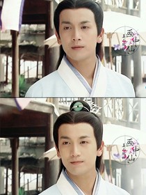 杨门女将之降龙木成精了