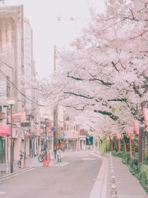親愛的熱愛的（吳白的青梅）