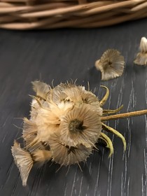 带你看极光