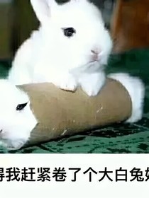 快穿之打脸吧