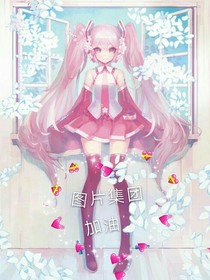 所有圖片集合