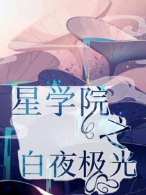 星学院3：白夜极光