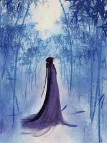 陳情令之宸雪