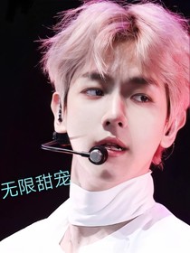 边伯贤——无限甜宠