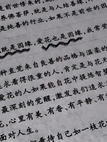 Justin:Lisa的妹妹-d974