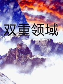 雙重領(lǐng)域