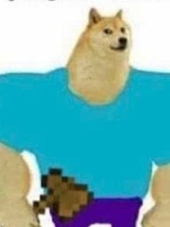 我的异世界生存