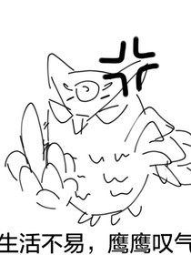 第五人格小问题