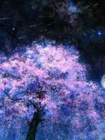 星辰暗恋