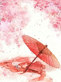风华策