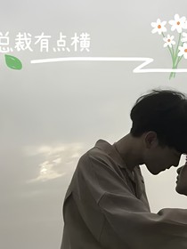 总裁有点横