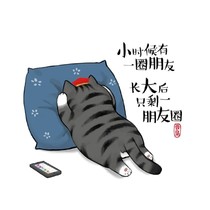 我只是个小学生