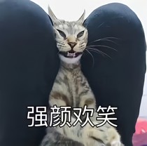 晨霧