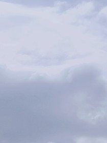 尘中之星
