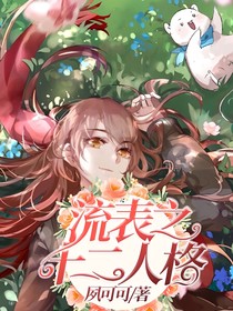 流表之十二人格