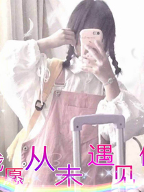 我愿从未遇见过你