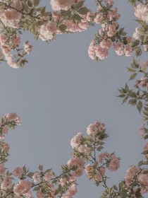 forever——lover