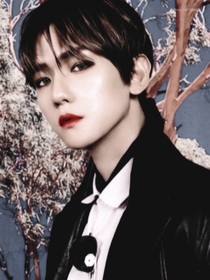 边伯贤：爱你之入骨