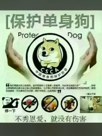 愛護單身狗