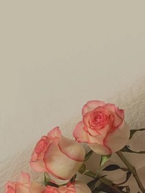刘耀文：最忠的约定