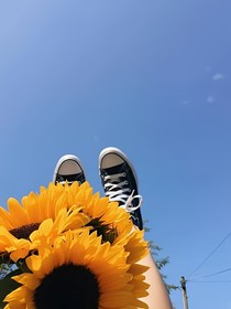 德云社臺(tái)詞本