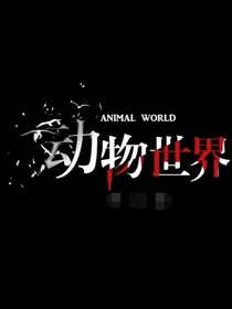：——（动物世界：）