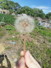 哥哥，求你饶了我吧