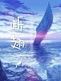 断翅-d982