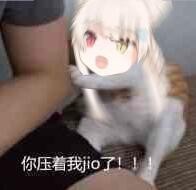 百变机兽之送光环