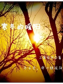 寒冬的暖阳