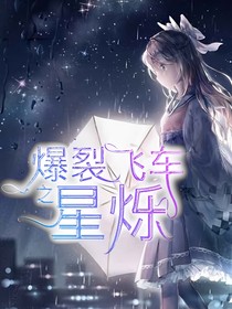 爆裂飛車之星爍-d223