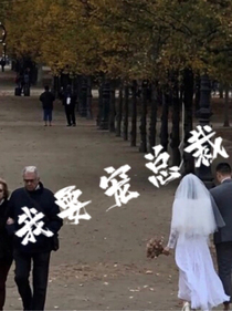 我要宠总裁