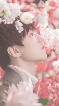 《tfboys王俊凯之追爱记》