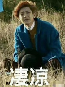 傻起十足