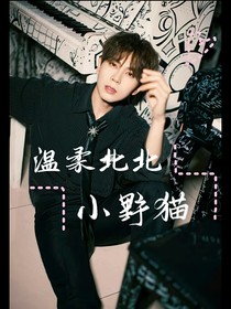 邱治諧：溫柔北北小野貓