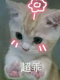系统教你学做人