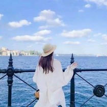 小夏的知了