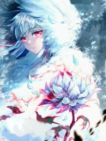 霍挂穿越之冰雪二帝之骄傲
