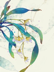 毒女携宝复仇记1-d683