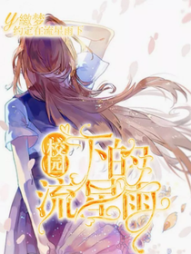 精靈夢葉羅麗：校園下的流星雨-d766