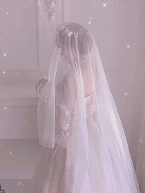 重生嬌妻之霸道歸來