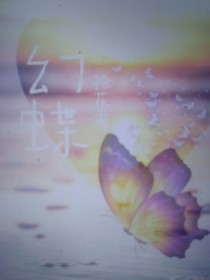 雨中碟