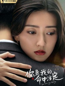 你是我的命中注定22