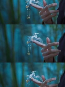 梨花伦
