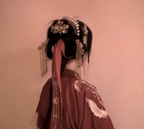 皇帝，你的后宫归我