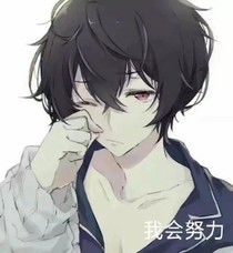 完美攻略記