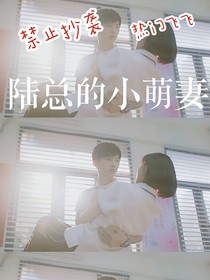 陆总的小萌妻